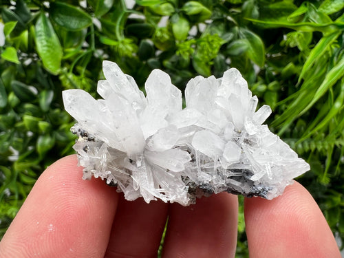 Chlorite Quartz Crystal Specimen, Madan, Bulgaria Mineral