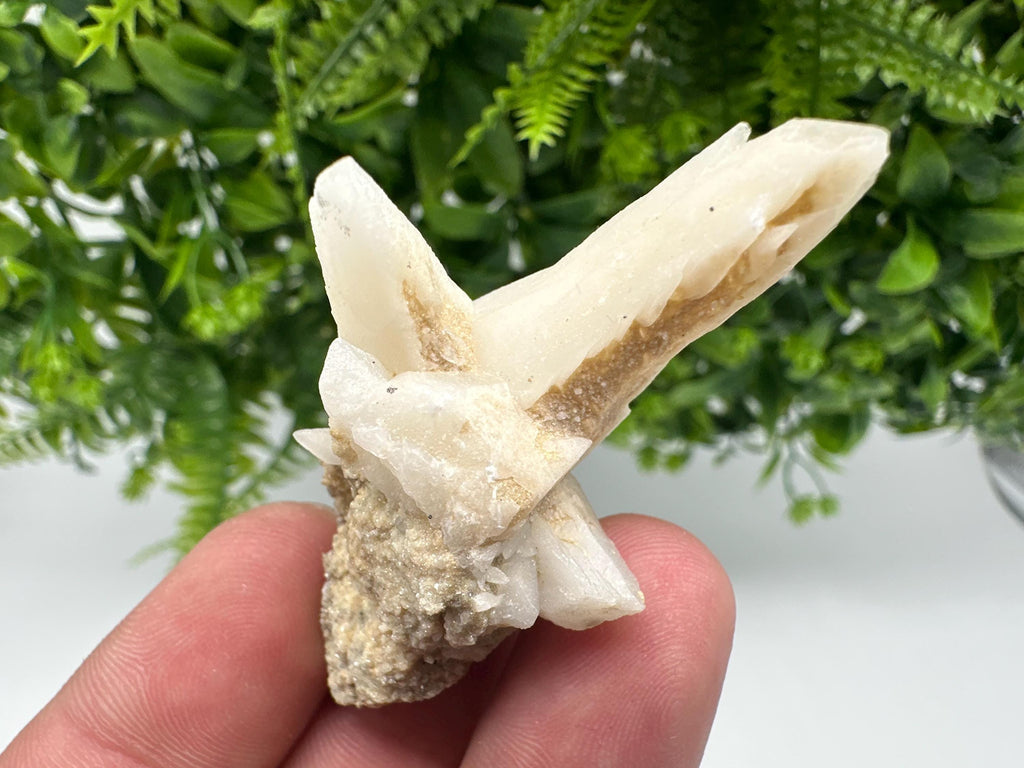 Calcite on Aragonite: Rare Healing Crystal from Bulgaria