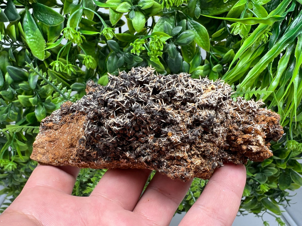 Rare Madjarovo Pyromorphite with Hematite on Quartz, Bulgaria