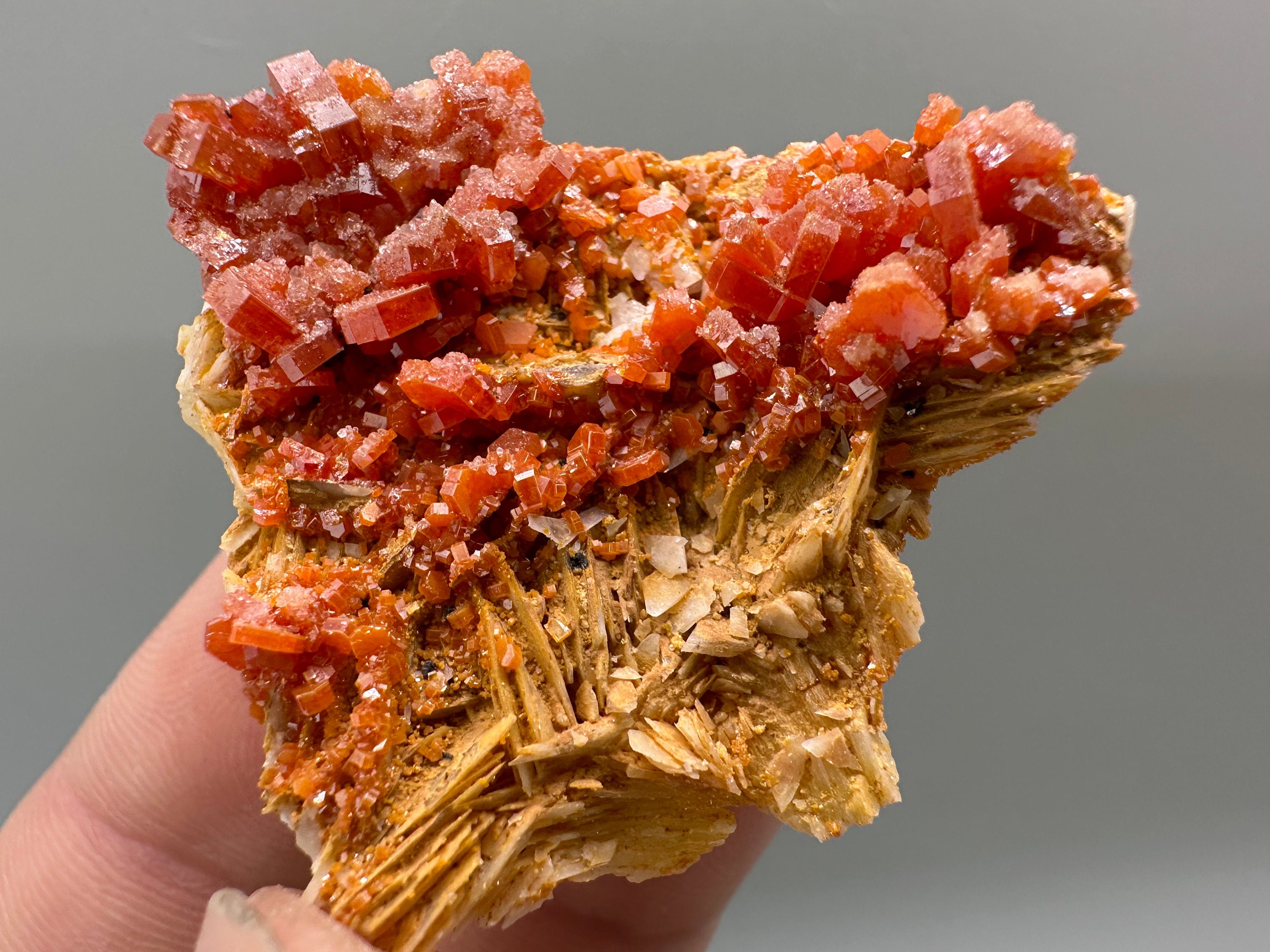 Red Vanadinite Crystal Cluster on Matrix, Morocco Mineral Specimen