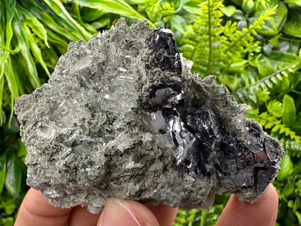 Galena Sphalerite on Quartz, Borieva Mine Mineral Specimen
