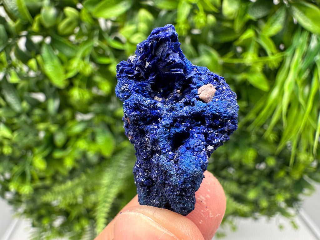 Crystallized Azurite-Kerrouchen,Morocco-Blue Azurite Specimen-High Quality Blue Azurite-Azurite Mineral Specimen, gemmy,lustrous of Azurite