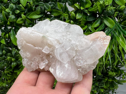Apophyllite Stilbite on Chalcedony, India Crystal Mineral Specimen
