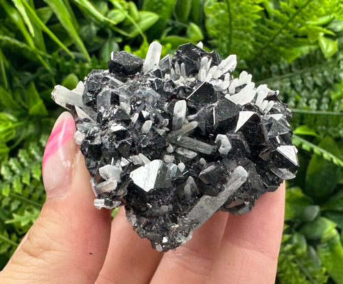 Borieva Mine Sphalerite on Quartz: Rare Mineral Cluster