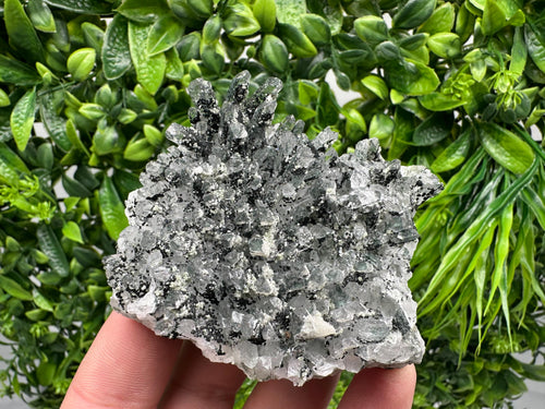 Chlorite Quartz Mineral Specimen, Borieva Mine, Bulgaria