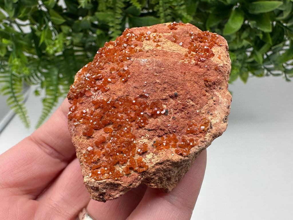 Red Vanadinite on Matrix from Marocco,crystal minerals Speciment cluster Vanadinite crystal Vanadinite Geology Vanadinite cluster minerals