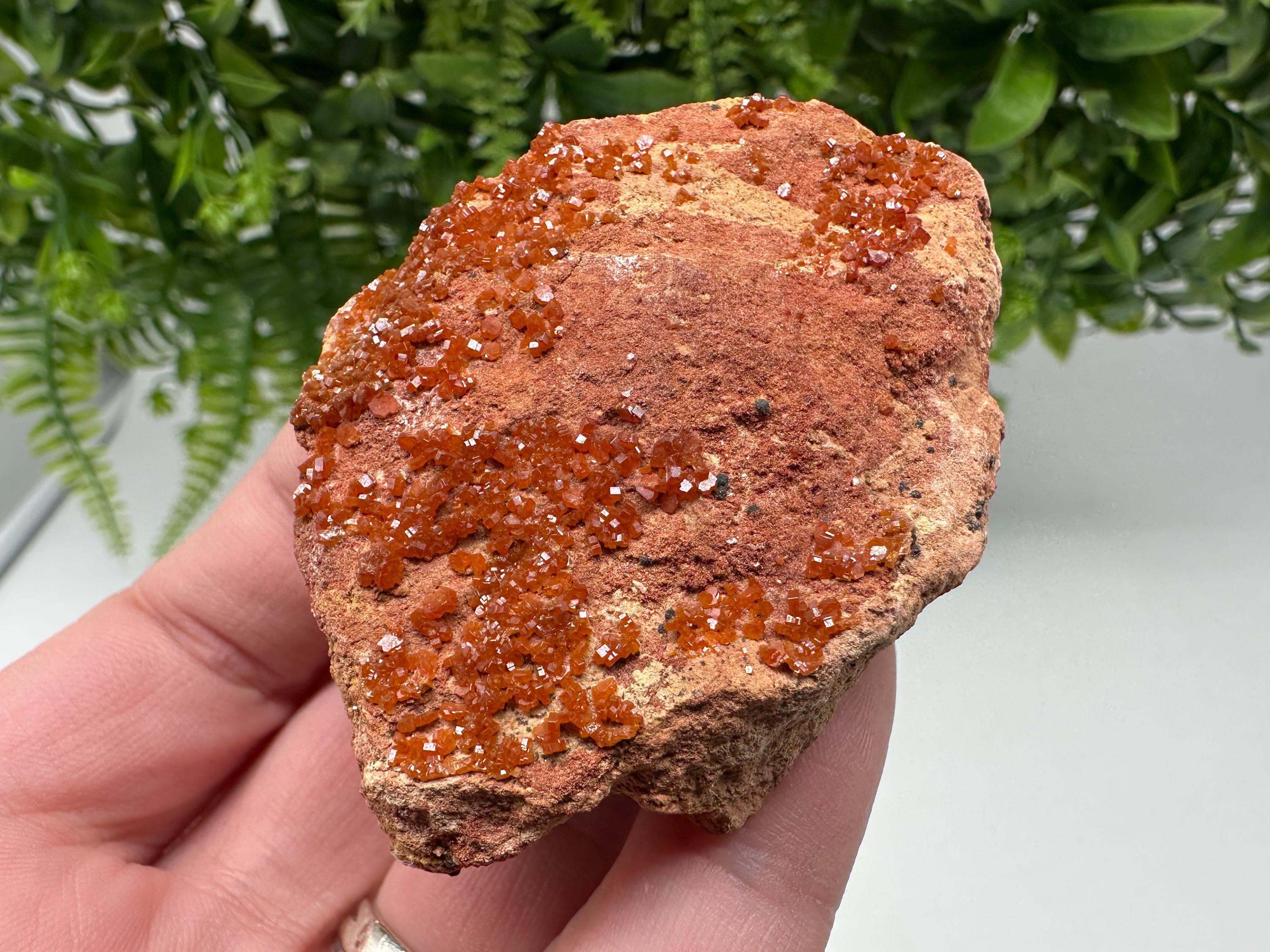 Red Vanadinite on Matrix from Marocco,crystal minerals Speciment cluster Vanadinite crystal Vanadinite Geology Vanadinite cluster minerals