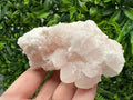 Mangano Calcite with Galena, Borieva Mine, Bulgaria
