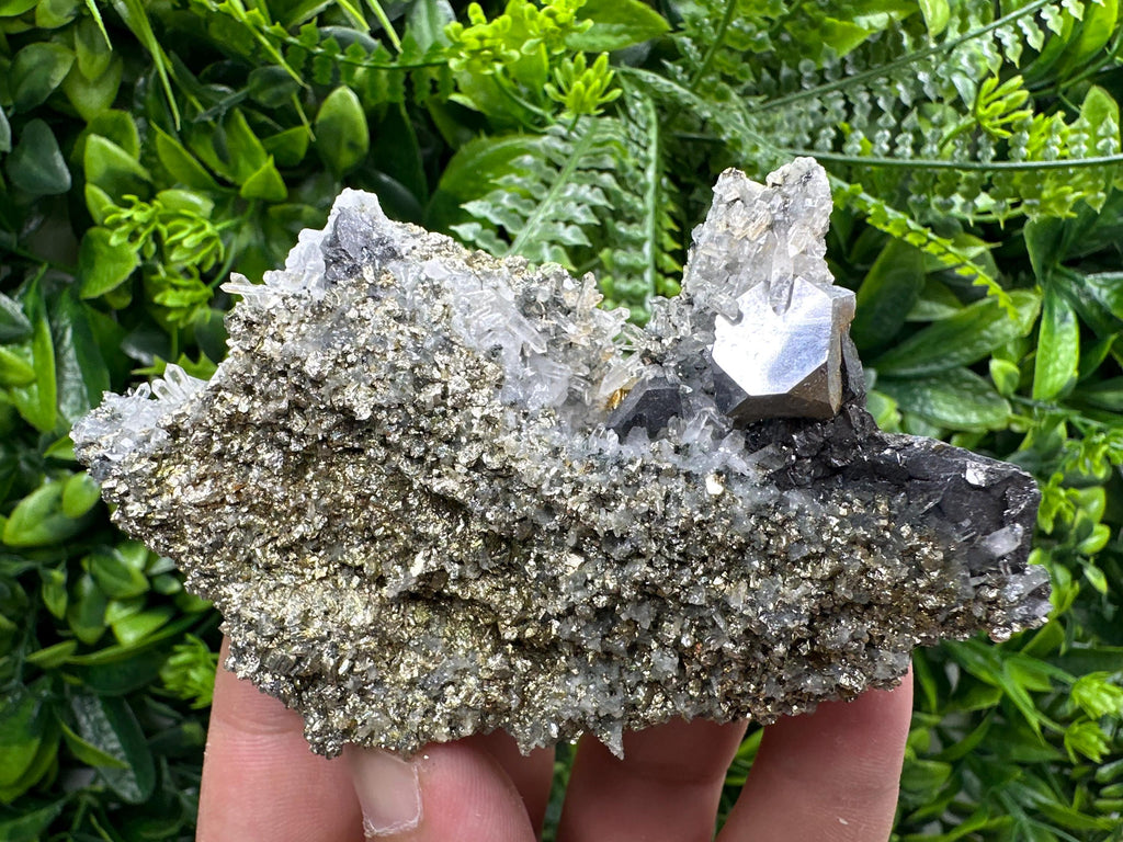 Galena with Quartz on Pyrite, Borieva Mine Mineral Specimen
