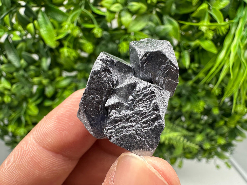 Galena with Sphalerite Specimen, Borieva Mine, Bulgaria