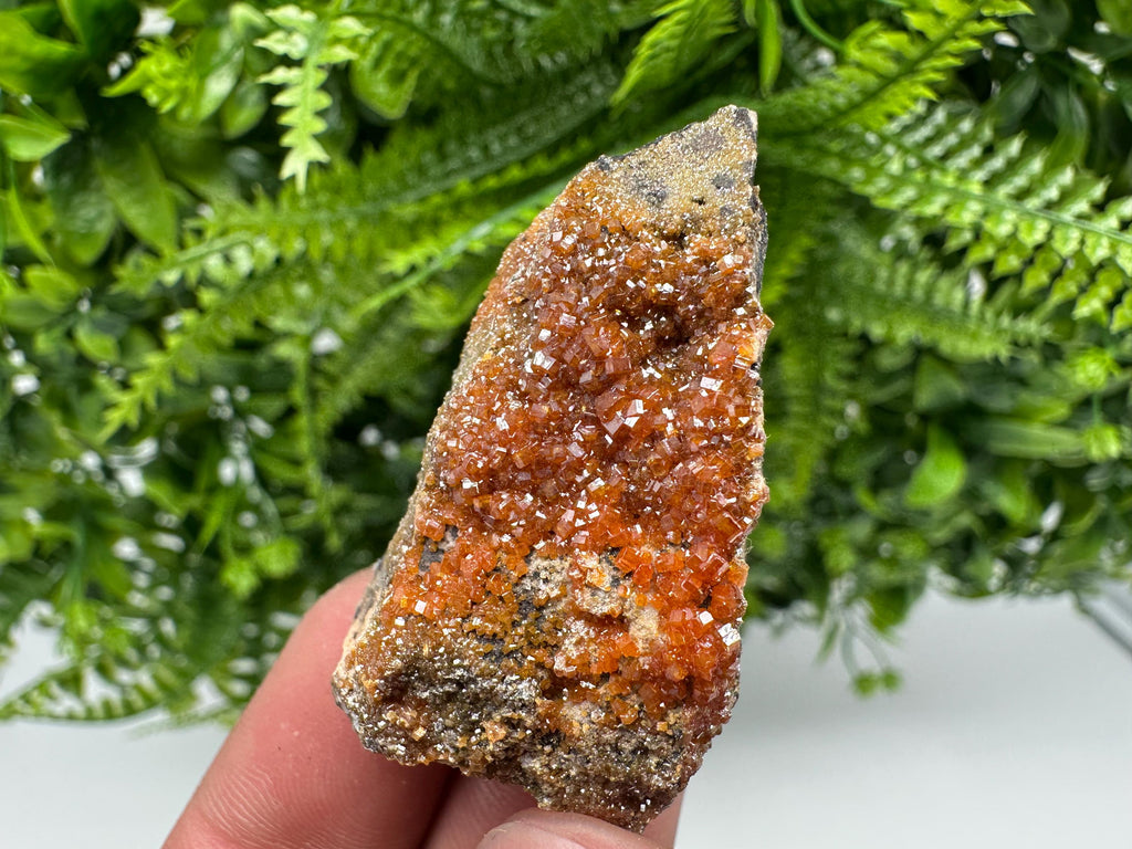 Red Vanadinite Crystal Cluster on Matrix, Morocco Mineral Specimen