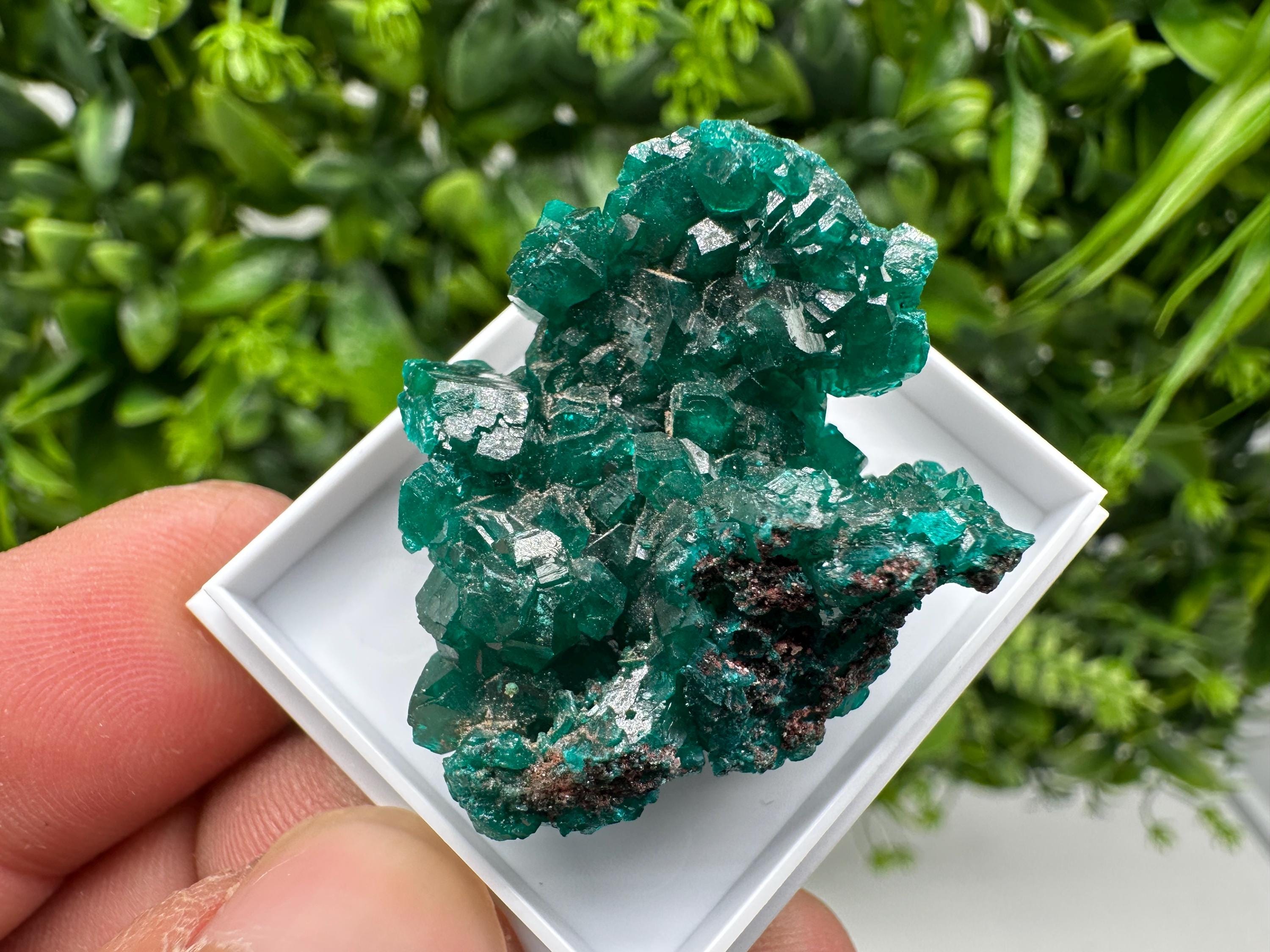 Stunning Green Dioptase from Sanda Hills,Mindouli,Pool Department,Mindouli District,Congo,green Dioptase,Dioptas Crystal,Dioptase collecting