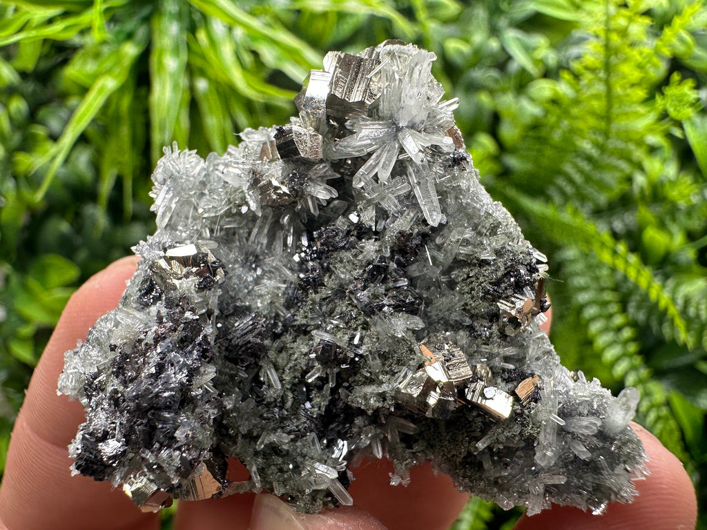 Pyrite Sphalerite Galena on Quartz: Bulgaria Borieva Mine Crystal Cluster