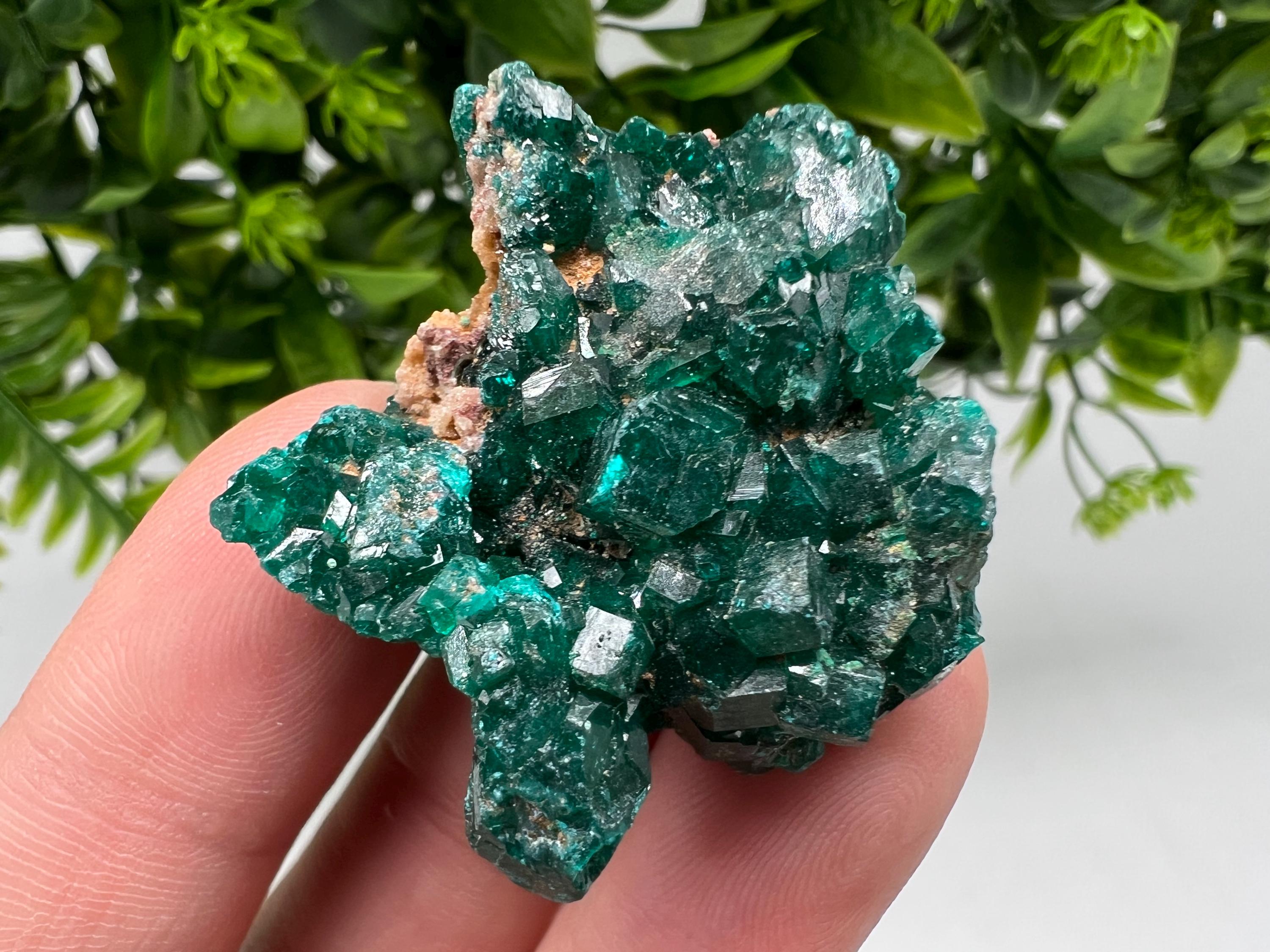 Stunning Green Dioptase from Sanda Hills,Mindouli,Pool Department,Mindouli District,Congo,green Dioptase,Dioptas Crystal,Dioptase collecting