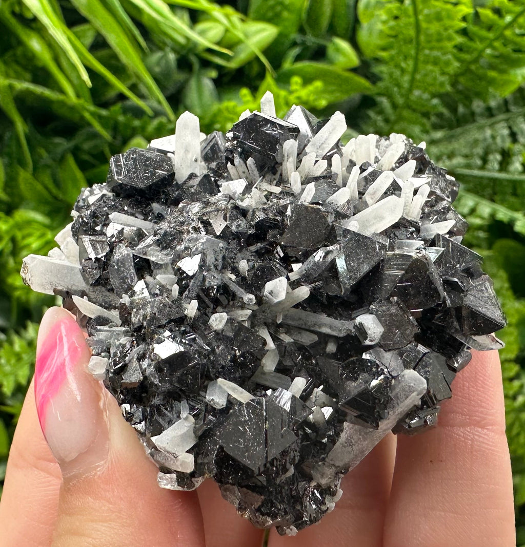 Borieva Mine Sphalerite on Quartz: Rare Mineral Cluster