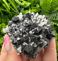 Borieva Mine Sphalerite on Quartz: Rare Mineral Cluster