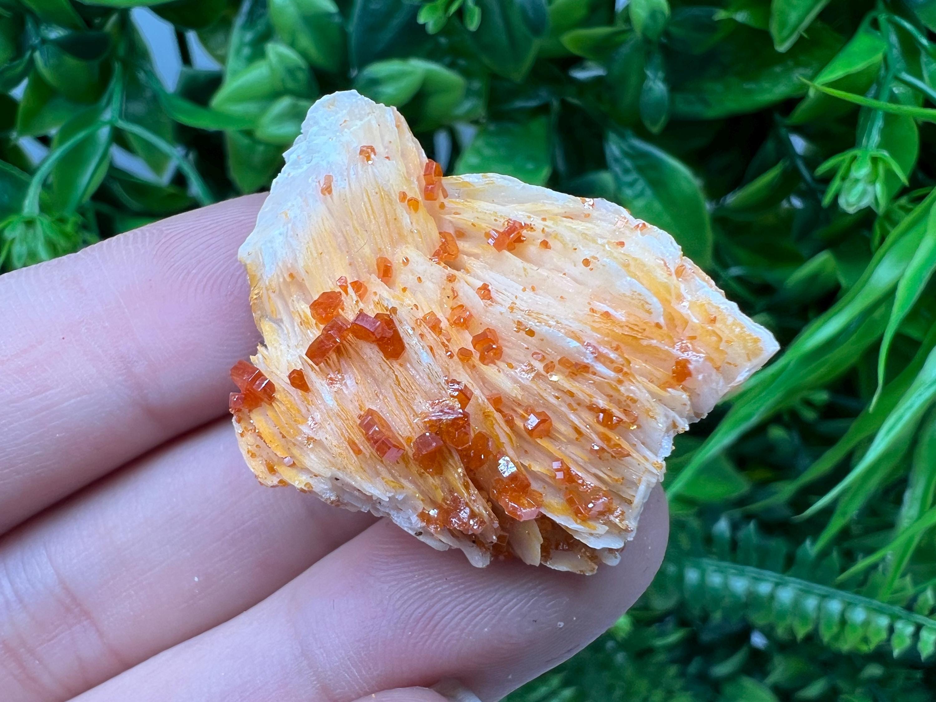 Red Vanadinite on Barite from Marocco,crystal minerals Speciment cluster Vanadinite crystal Vanadinite Geology Vanadinite cluster minerals