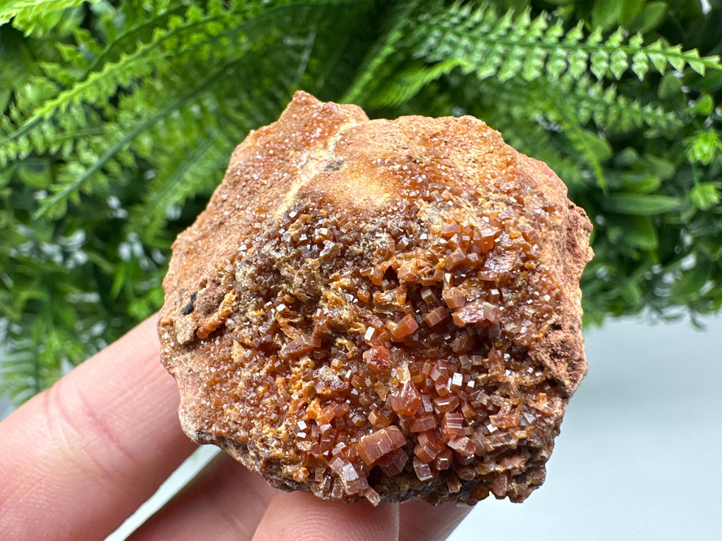 Red Vanadinite on Matrix from Marocco,crystal minerals Speciment cluster Vanadinite crystal Vanadinite Geology Vanadinite cluster minerals