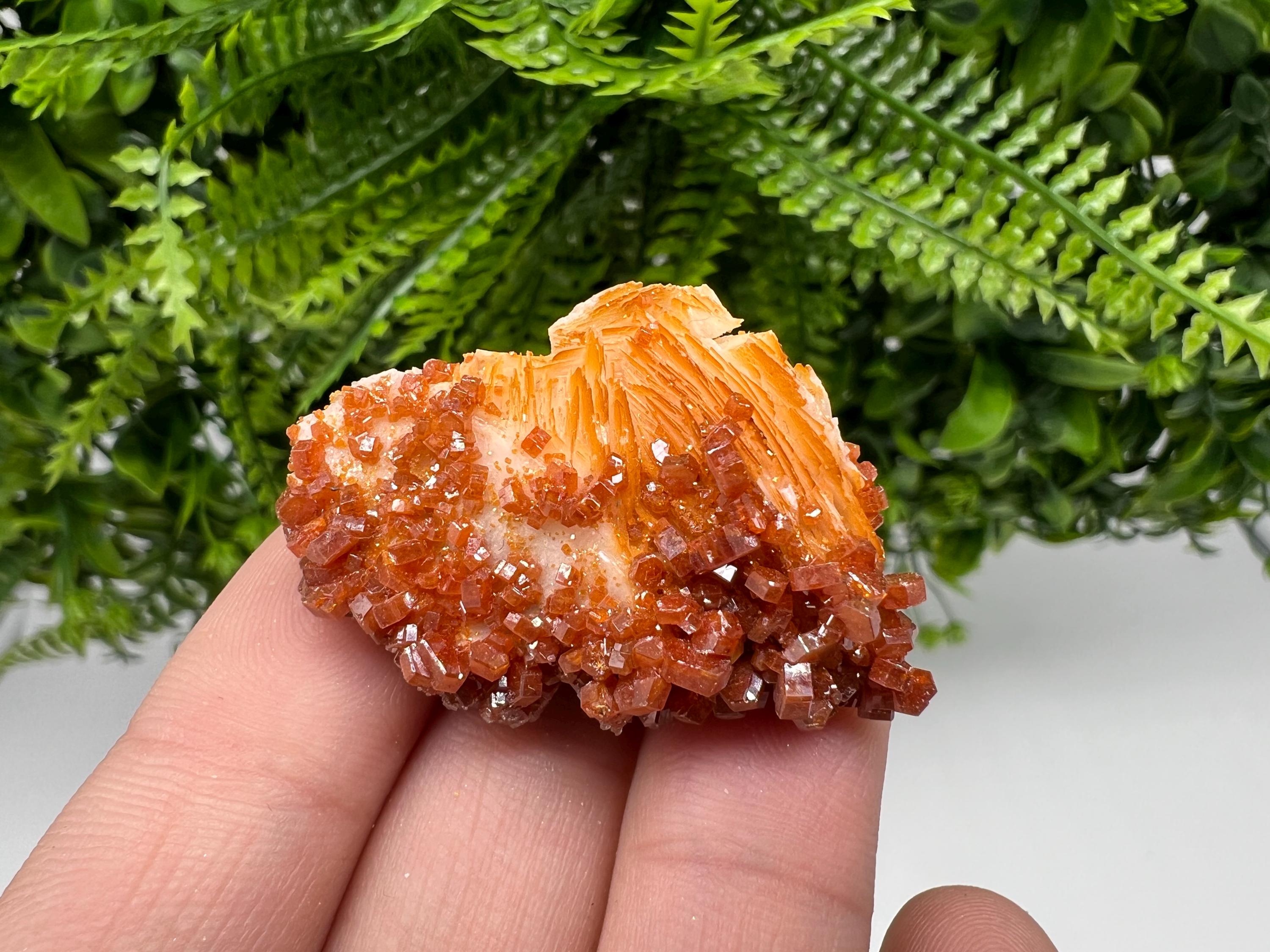 Red Vanadinite on Barite, Moroccan Crystal Mineral Specimen