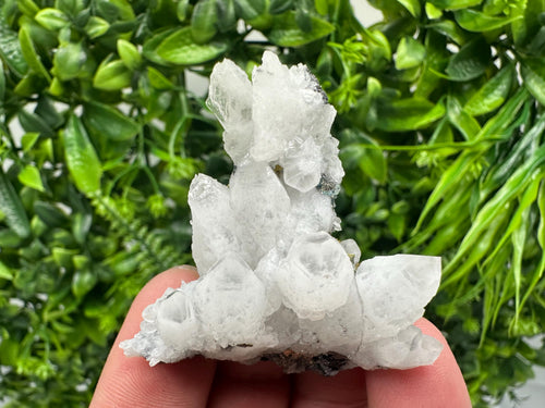 Chalcopyrite on Quartz, Krushev Dol Mine, Bulgaria, Mineral Specimen