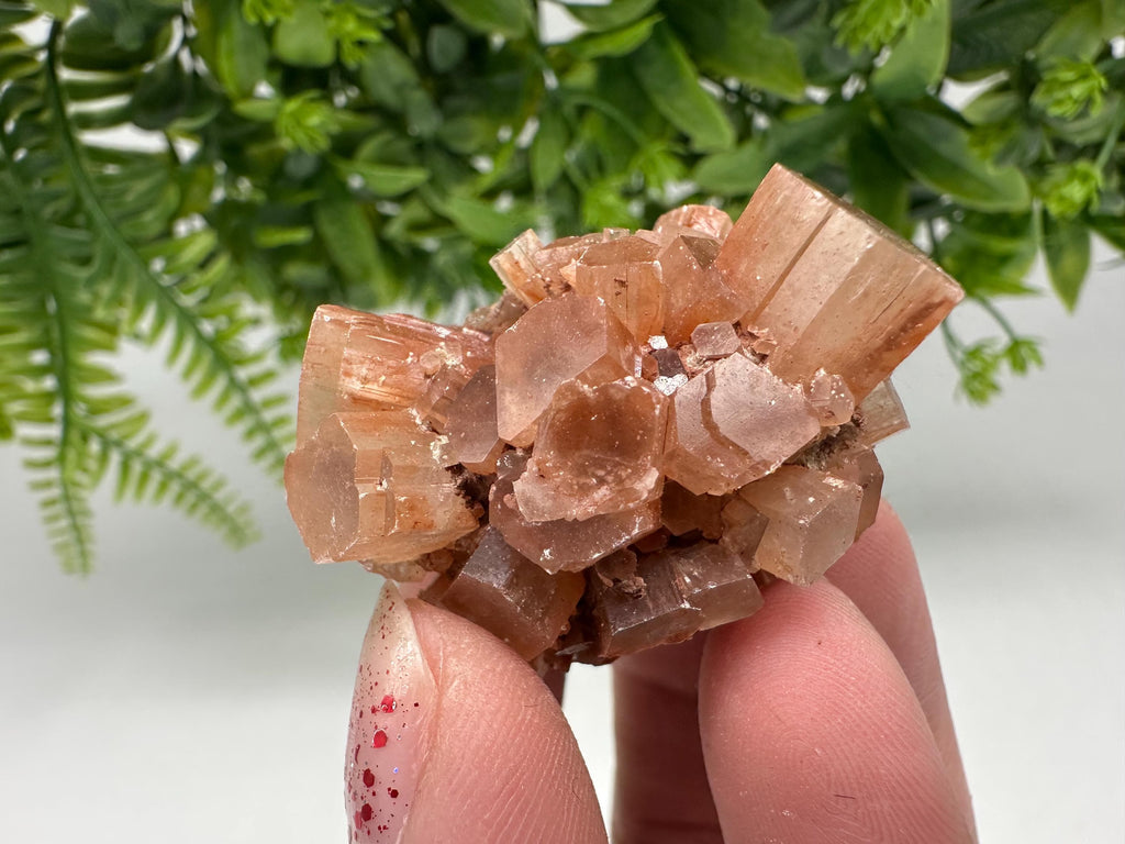 Aragonite Sputnik Cluster: Raw Moroccan Crystal Stone, Home Decor