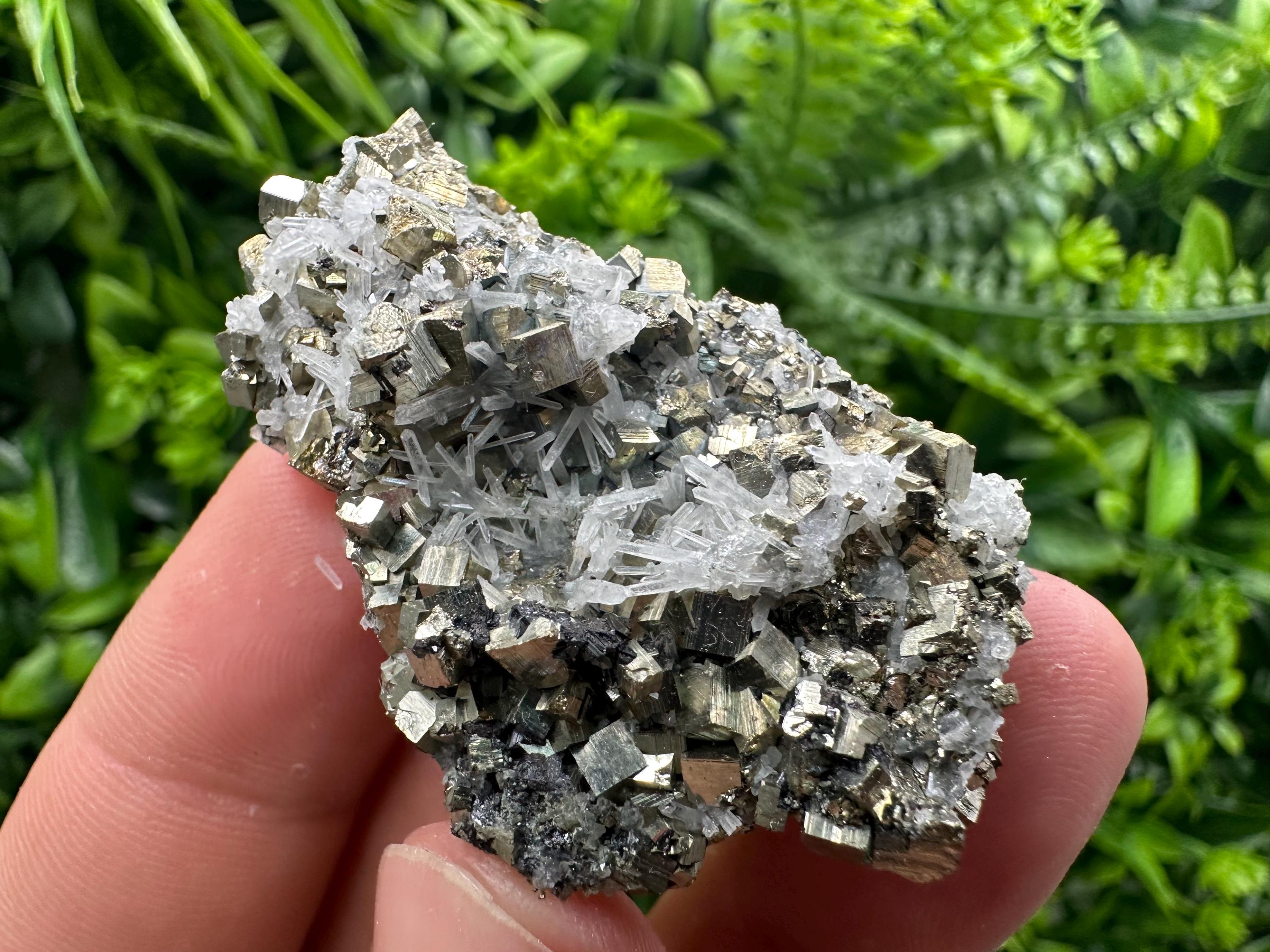 Quartz with Pyrite Specimen: Borieva Mine Crystal Decor (5/3.5 cm)