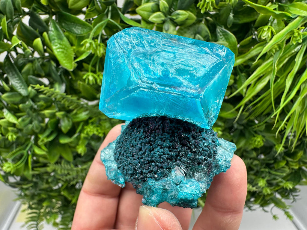 Exceptional Turquoise ALUNITE Aqua Crystal on Matrix UV Active, lab minerals