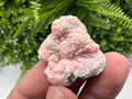 Rhodochrosite on Quartz, Starnica Mine, Bulgaria Mineral Specimen