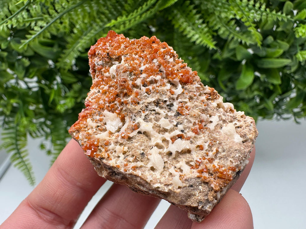 Red Vanadinite on Matrix from Marocco,crystal minerals Speciment cluster Vanadinite crystal Vanadinite Geology Vanadinite cluster minerals