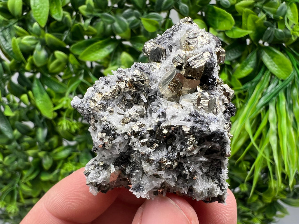 Pyrite on Green Quartz Mineral Specimen, Borieva Mine Bulgaria