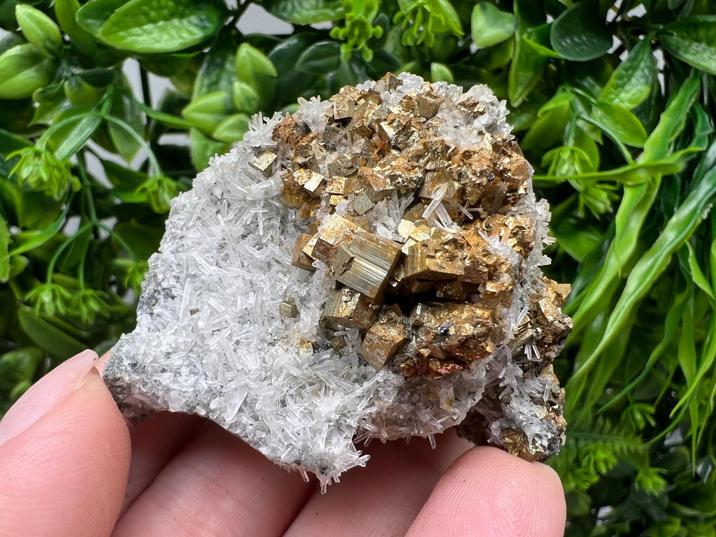 Pyrite on Green Quartz Mineral Specimen, Borieva Bulgaria