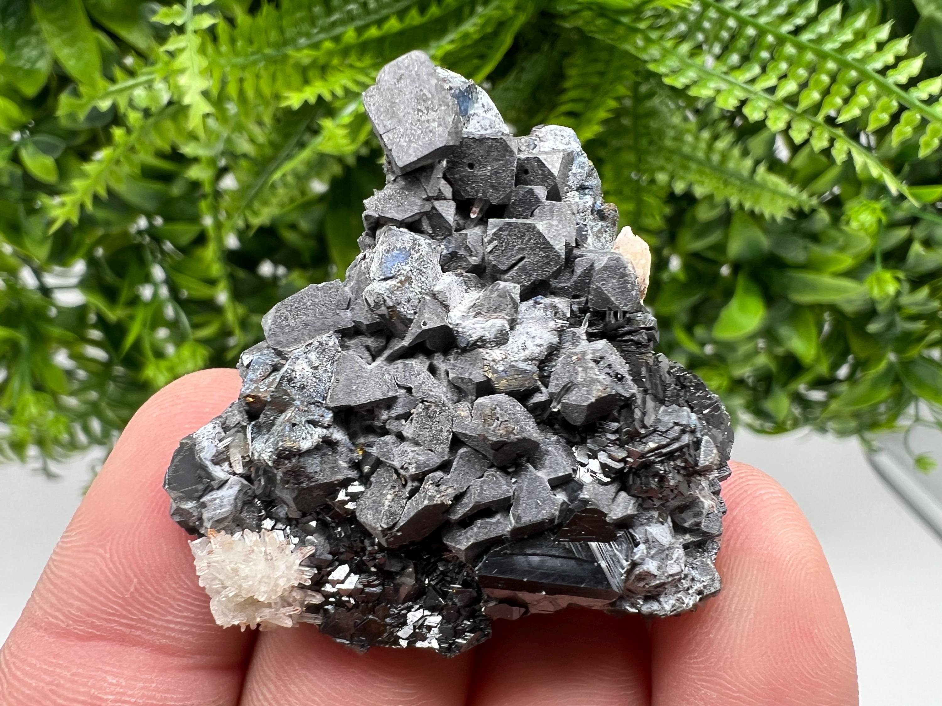 Shiny Galena Cluster with Siderite and Quartz, Bulgaria Mineral Specimen