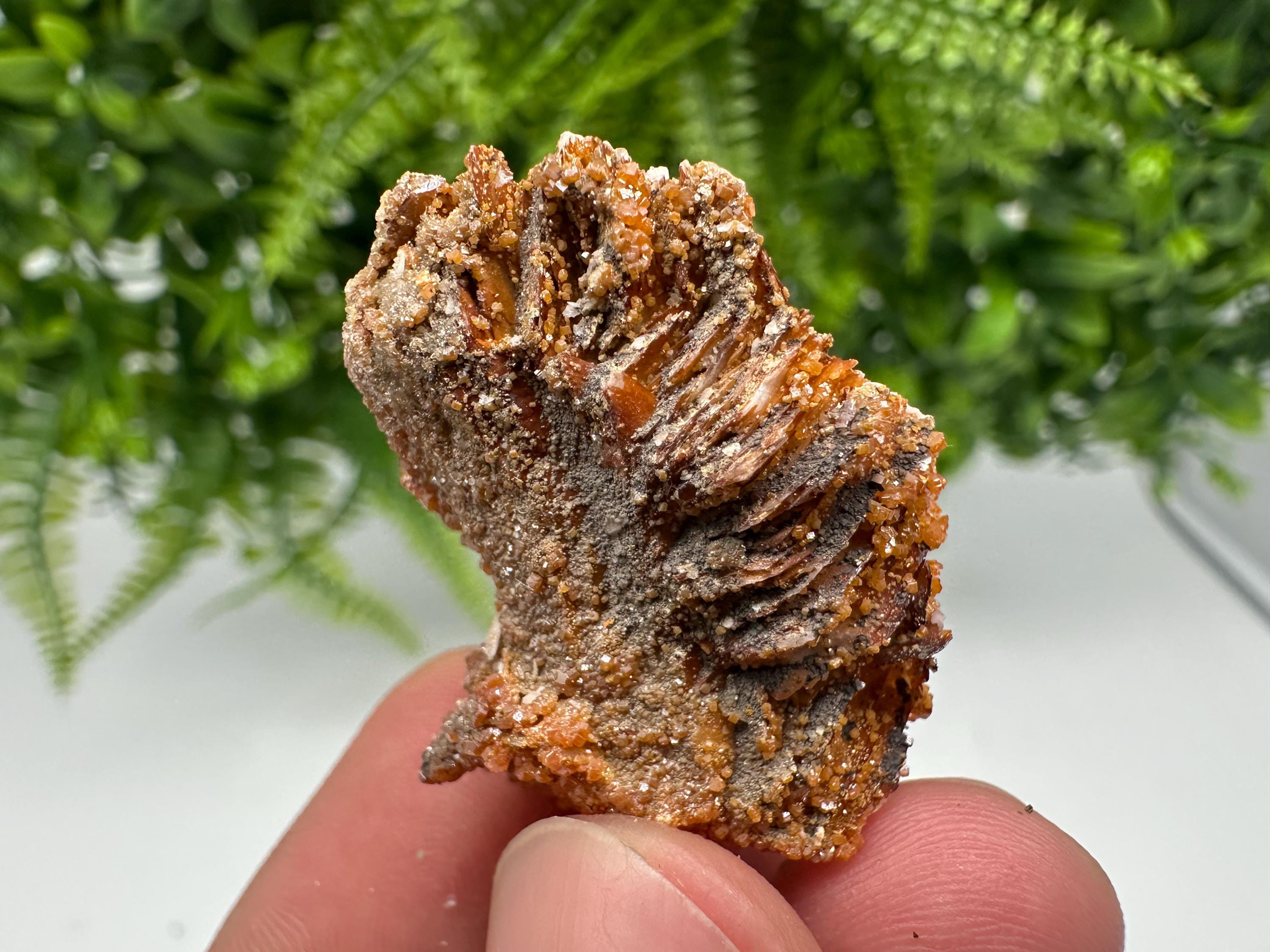 Red Vanadinite on Barite from Marocco,crystal minerals Speciment cluster Vanadinite crystal Vanadinite Geology Vanadinite cluster minerals