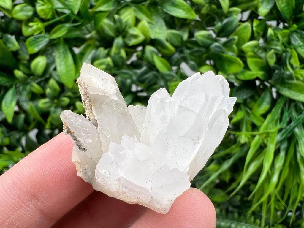 Transparent Quartz on Chlorite Matrix, Borieva Mine, Bulgaria
