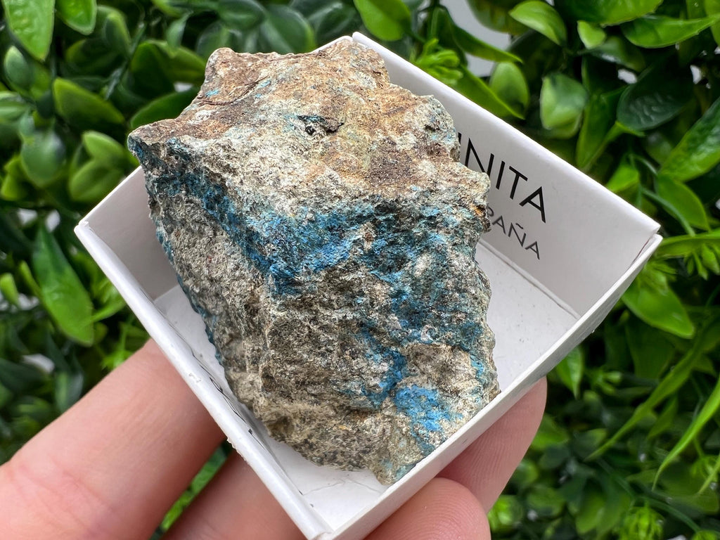 Rare Raw Aerinite Mineral Specimen: Collection Crystal from Lleida, Spain (5/3.5 CM)