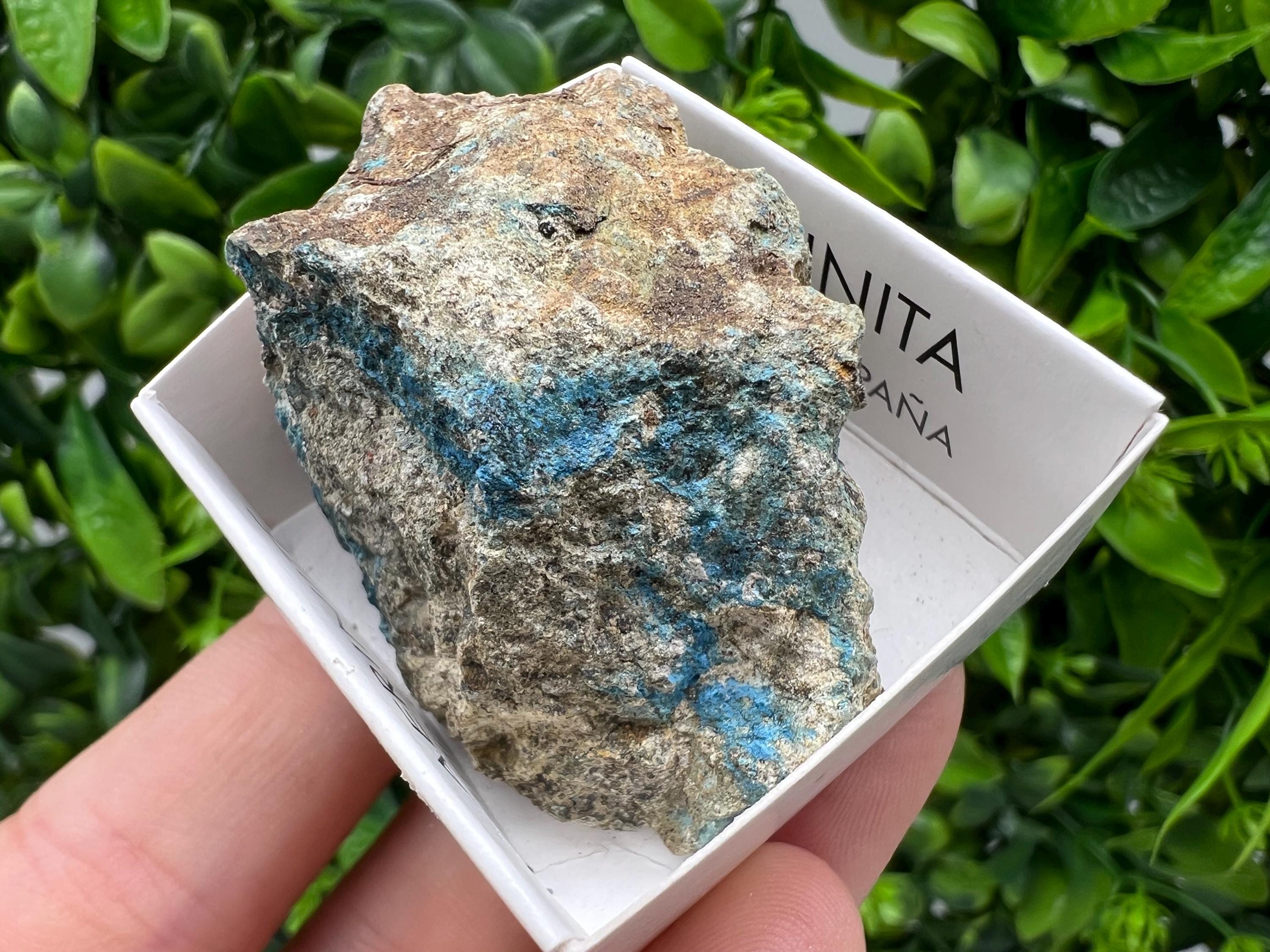 Rare Raw Aerinite Mineral Specimen: Collection Crystal from Lleida, Spain (5/3.5 CM)