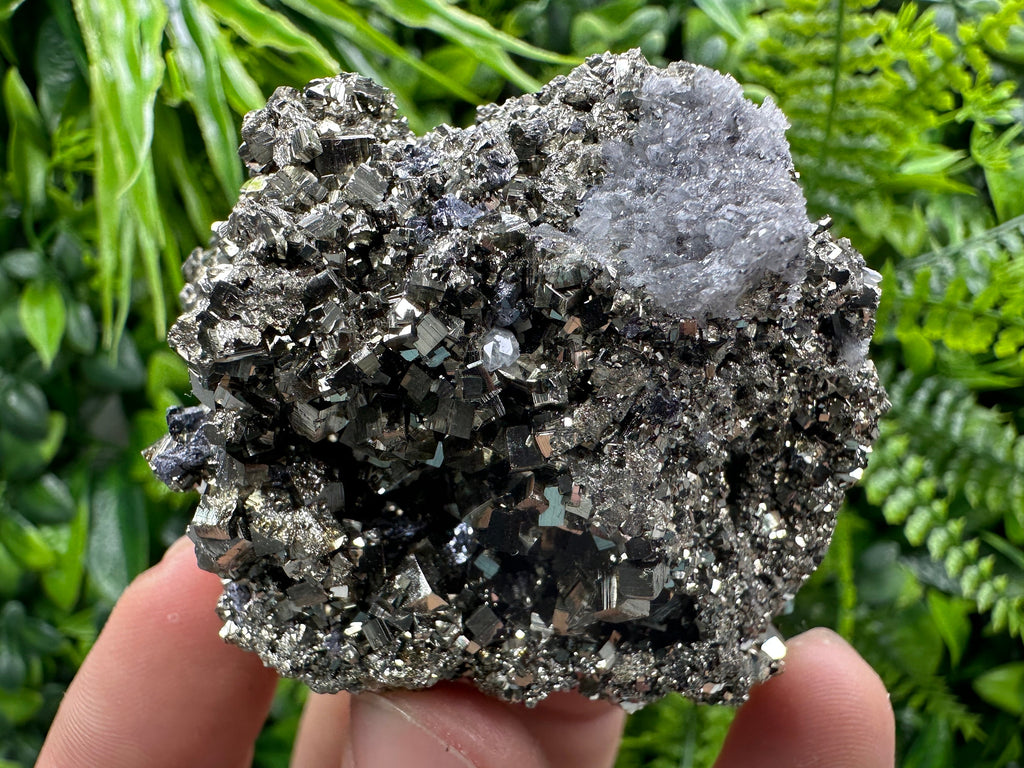 Golden Pyrite Crystal: Borieva Mine, Bulgaria