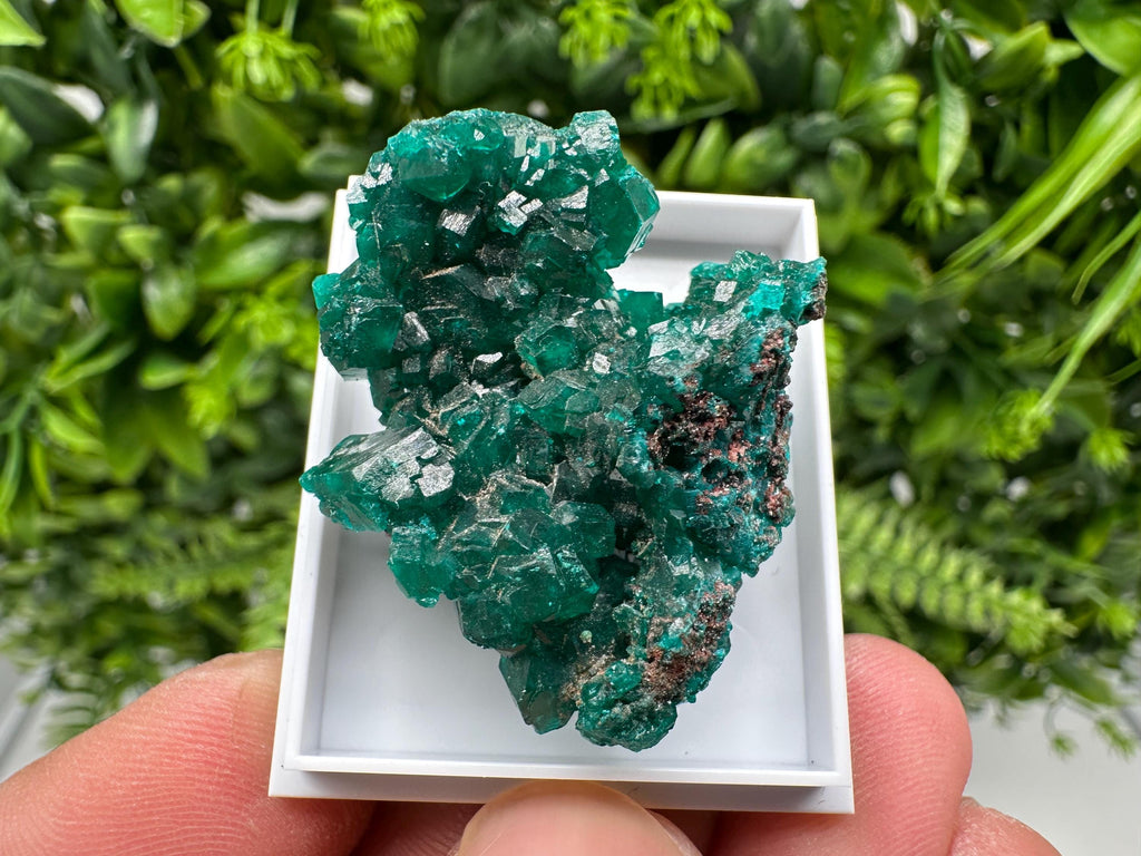 Stunning Green Dioptase from Sanda Hills,Mindouli,Pool Department,Mindouli District,Congo,green Dioptase,Dioptas Crystal,Dioptase collecting