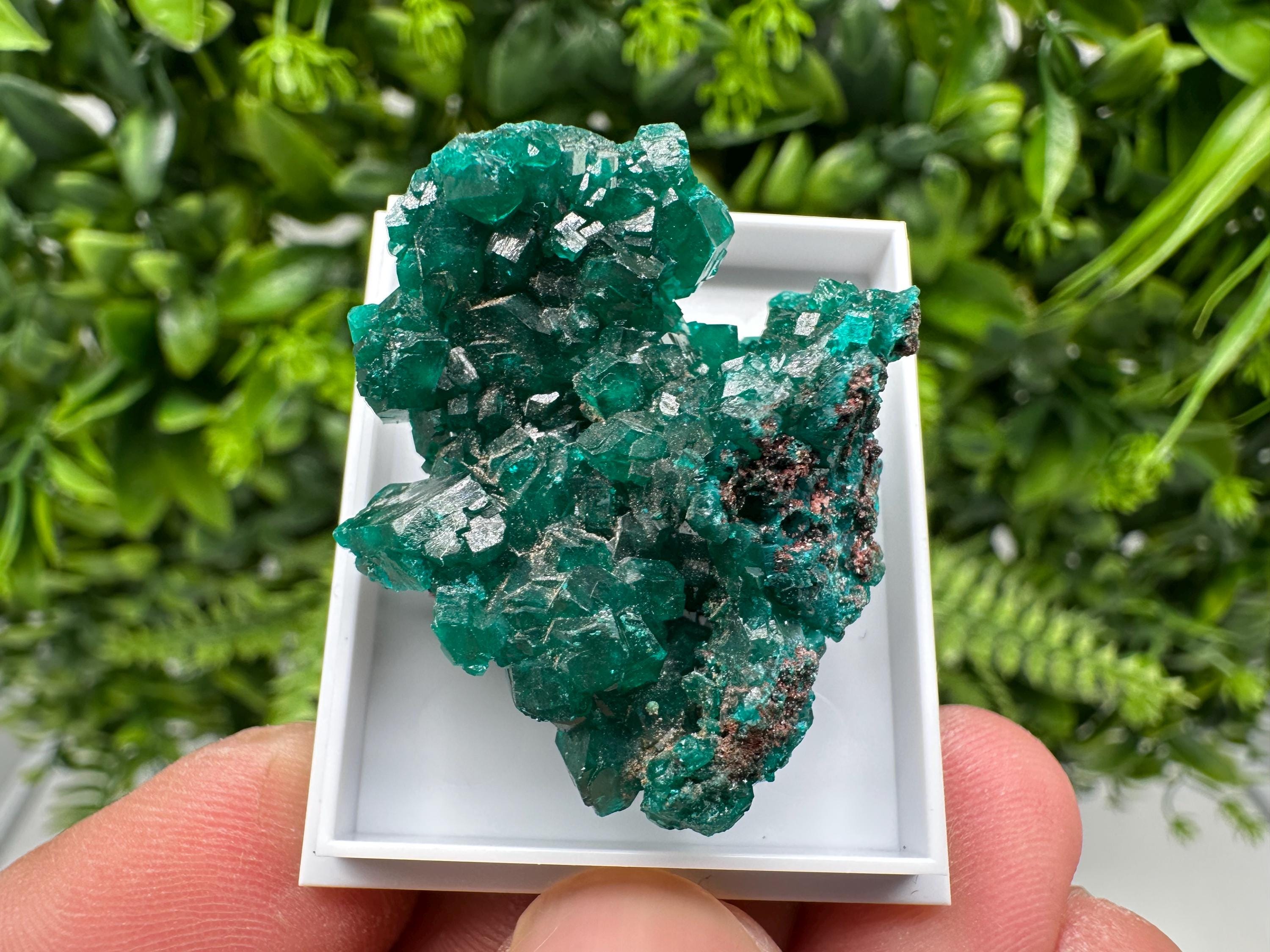 Stunning Green Dioptase from Sanda Hills,Mindouli,Pool Department,Mindouli District,Congo,green Dioptase,Dioptas Crystal,Dioptase collecting