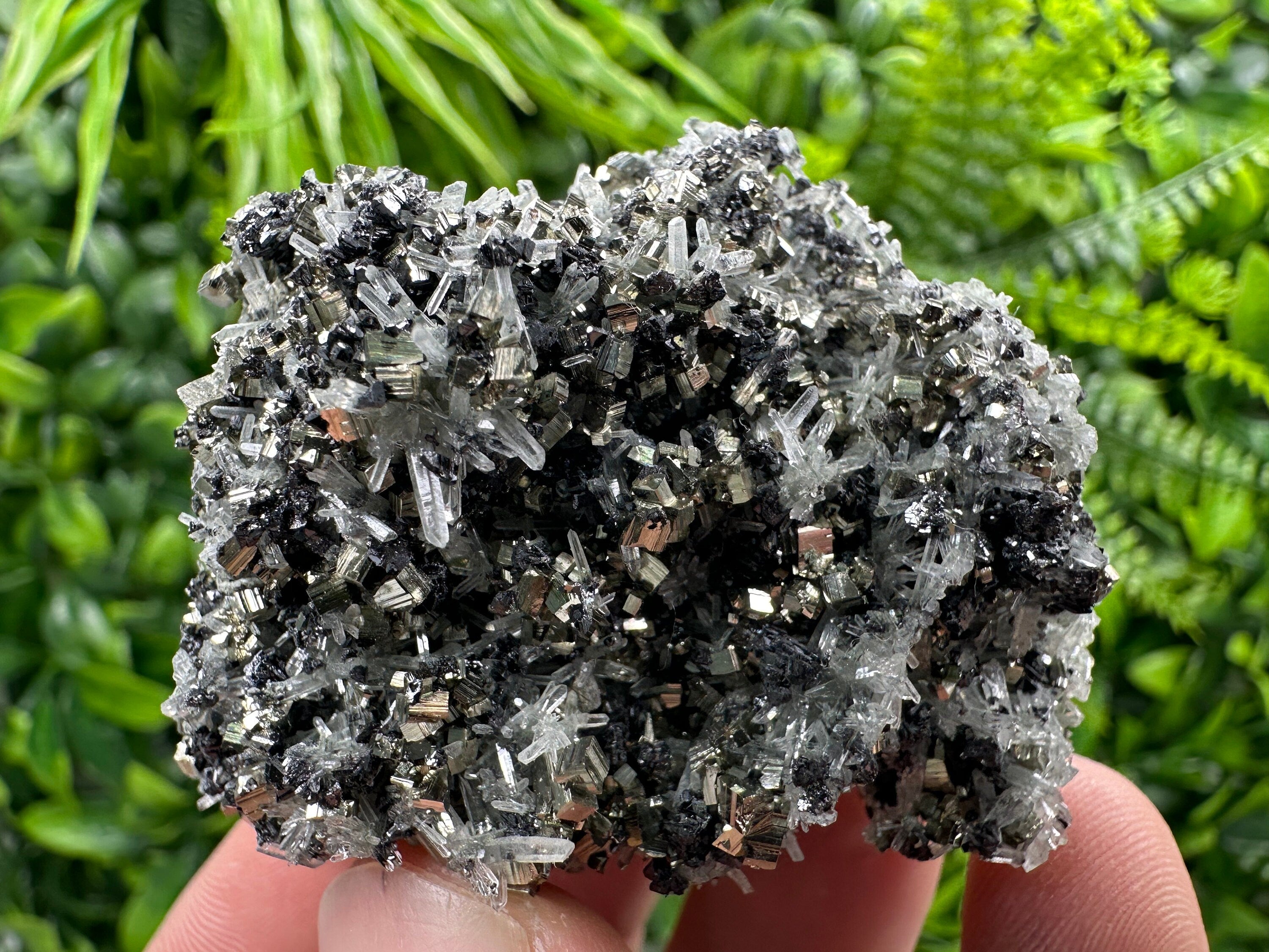 Pyrite on Quartz Needles, Borieva Mine Bulgaria, Mineral Specimen