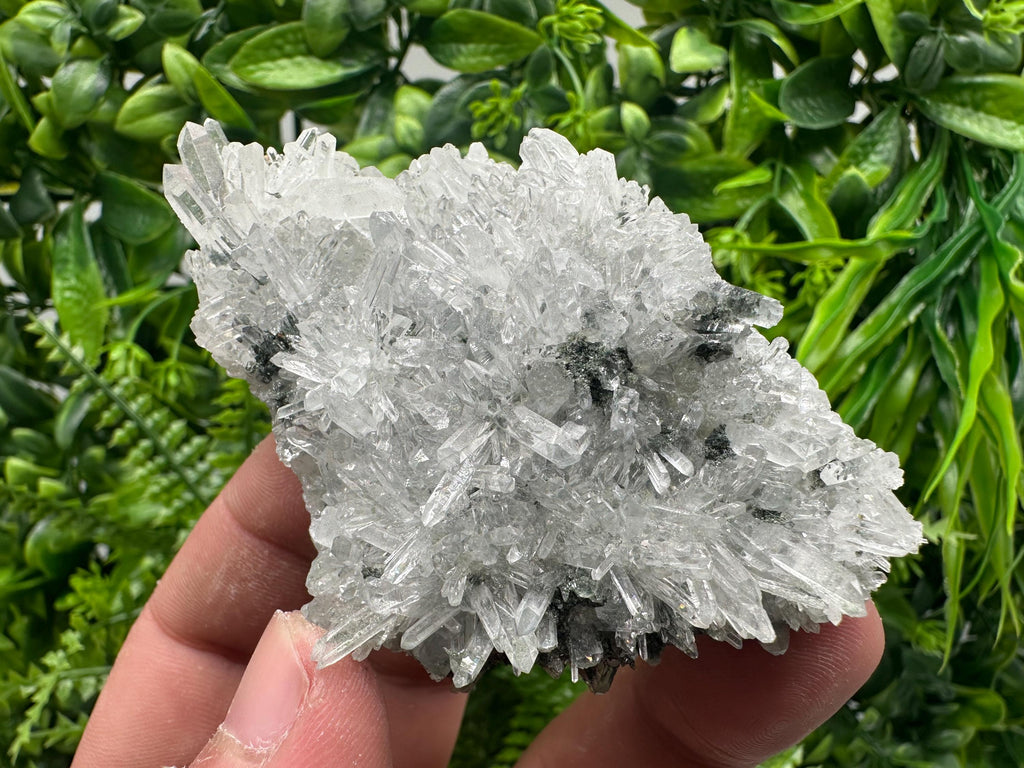 Transparent Quartz on Chlorite Matrix, Borieva Mine, Bulgaria