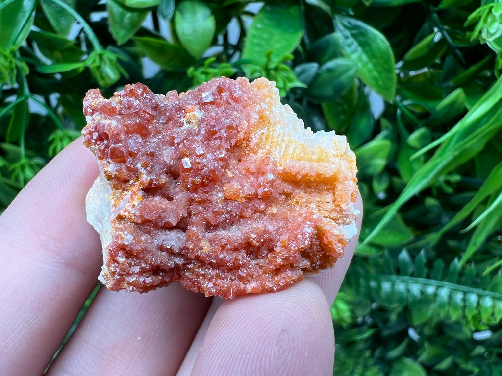Red Vanadinite on Barite from Marocco,crystal minerals Speciment cluster Vanadinite crystal Vanadinite Geology Vanadinite cluster minerals