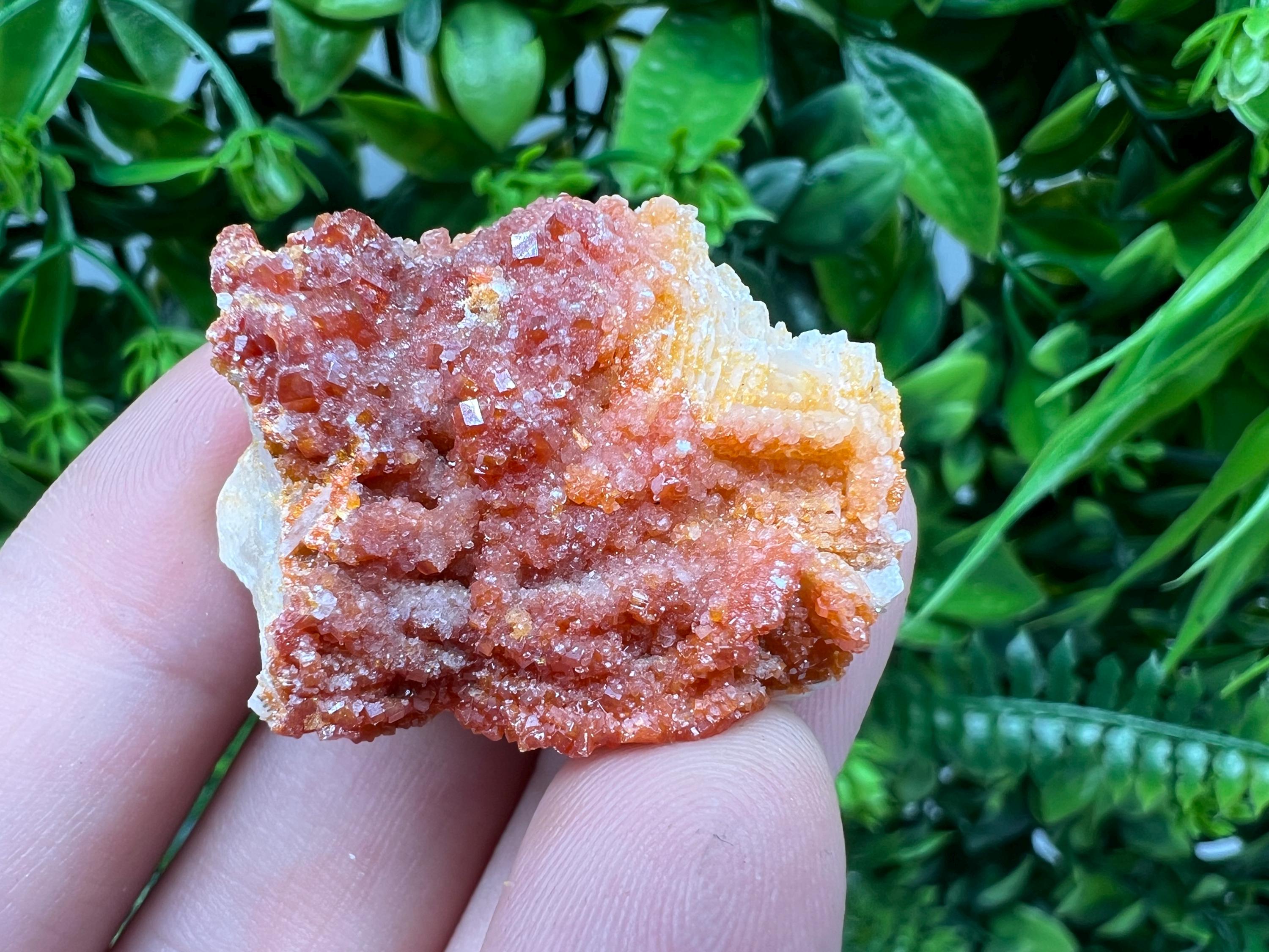 Red Vanadinite on Barite from Marocco,crystal minerals Speciment cluster Vanadinite crystal Vanadinite Geology Vanadinite cluster minerals