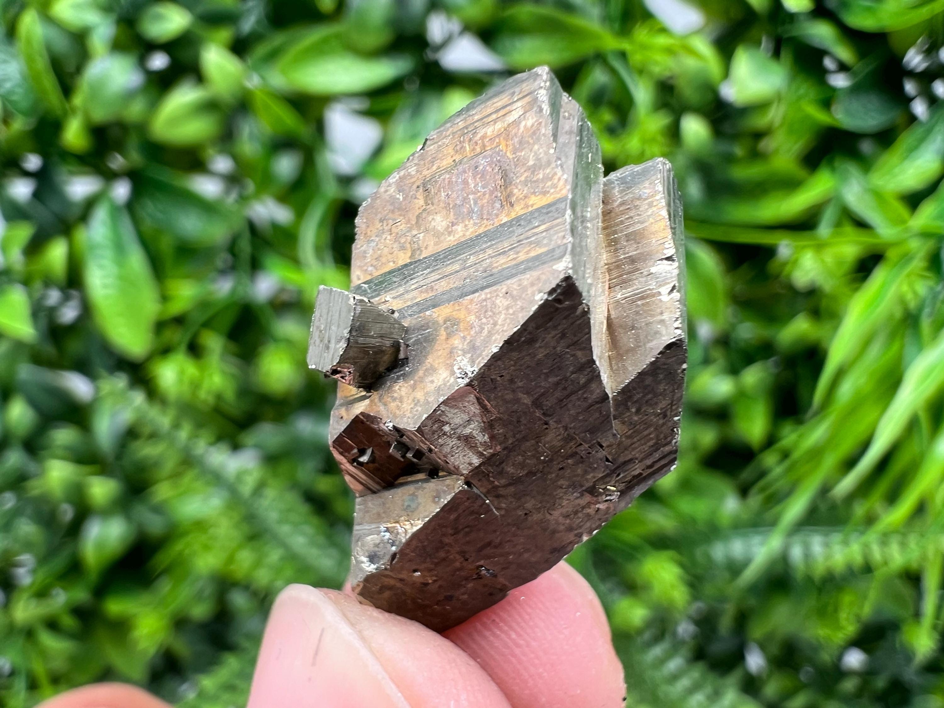Rare Pyrite Crystal Specimen: Borieva Mine, Bulgaria