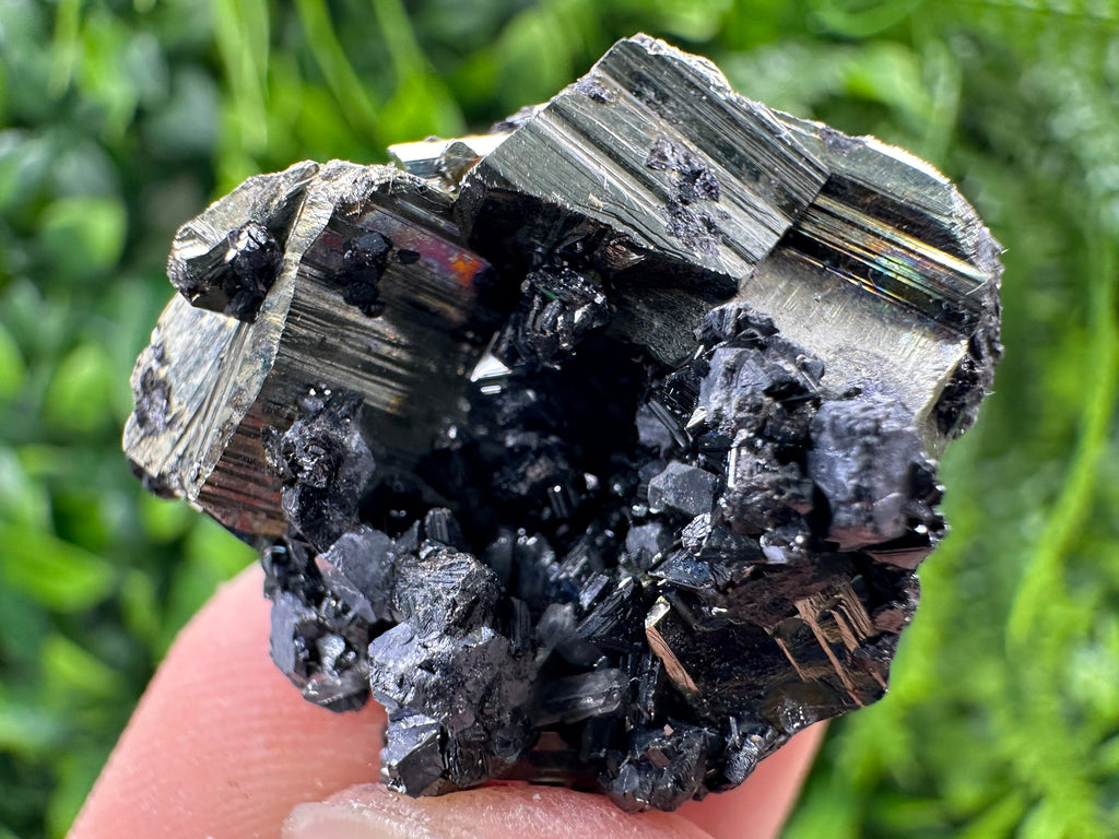 Shiny Pyrite Sphalerite Crystal: Borieva Mine, Bulgaria
