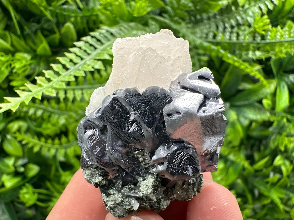 Shiny Galena with Calcite on Quartz, Chlorite Specimen