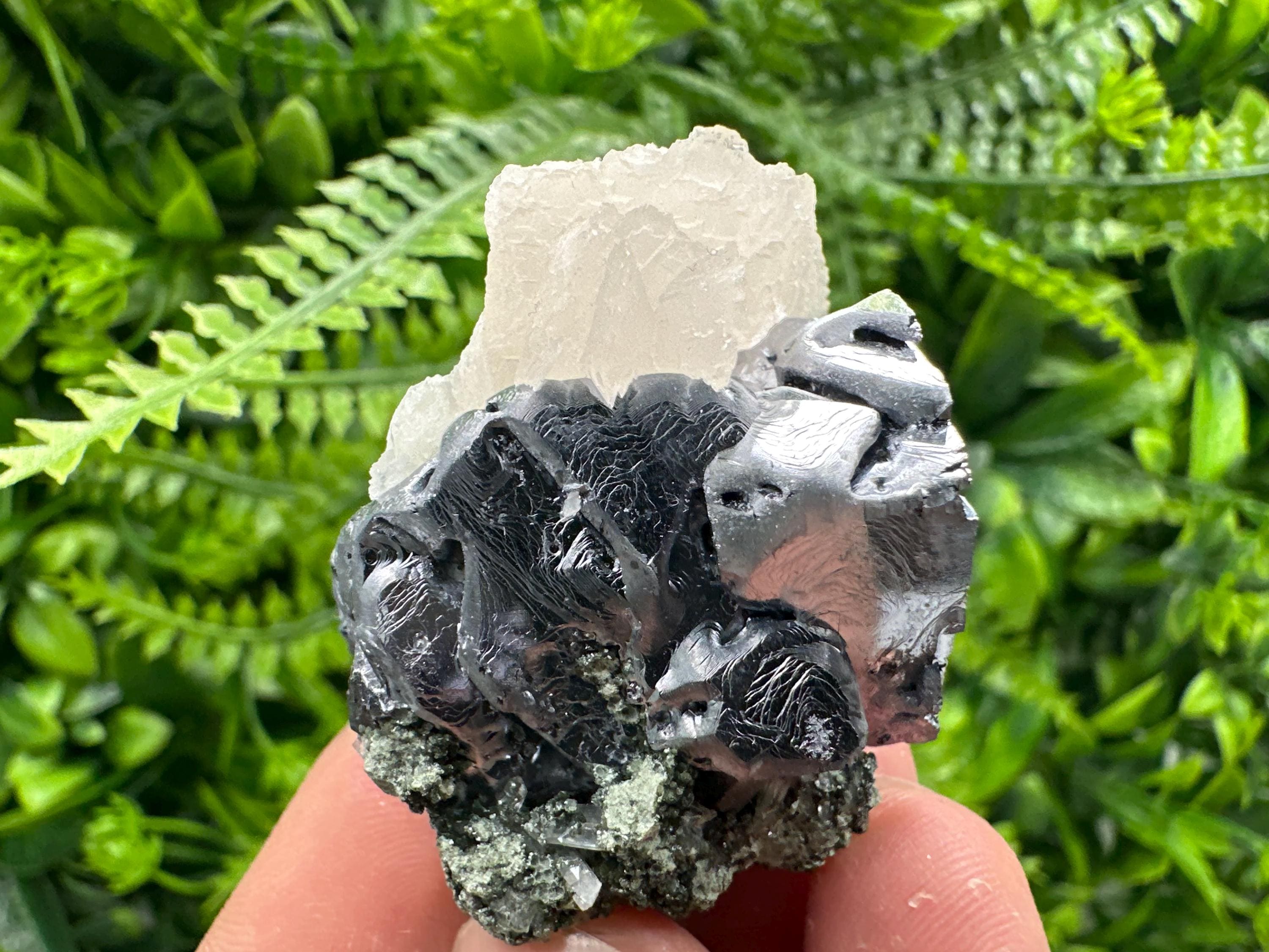 Shiny Galena with Calcite on Quartz, Chlorite Specimen