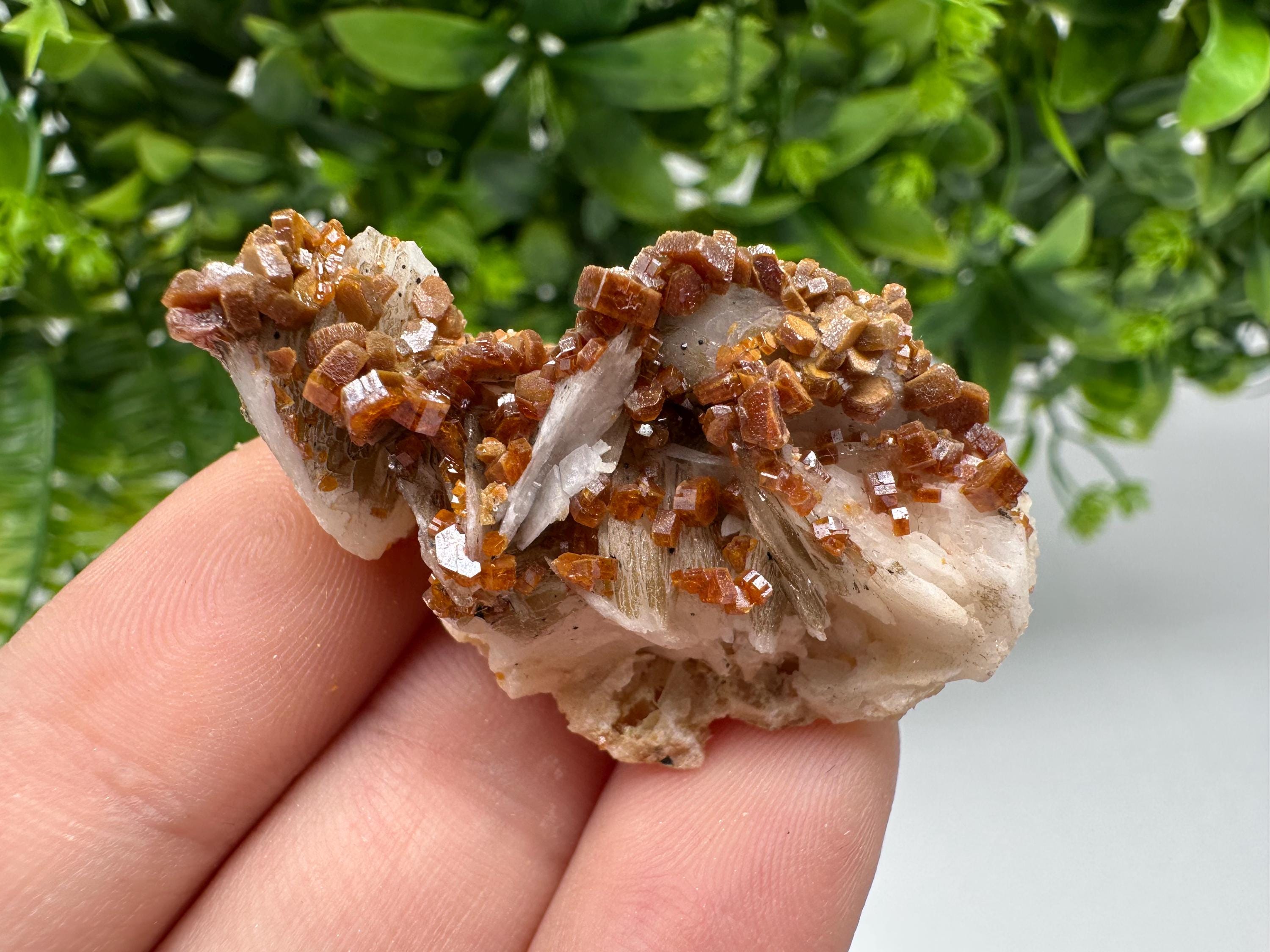 Red Vanadinite on Barite from Marocco,crystal minerals Speciment cluster Vanadinite crystal Vanadinite Geology Vanadinite cluster minerals