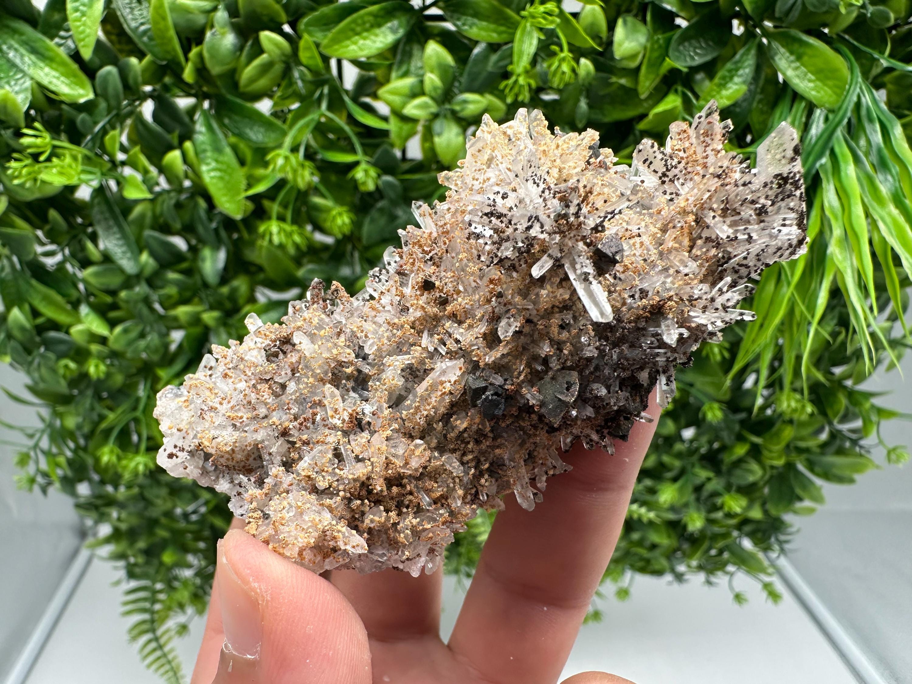 Wonderful Sphalerite Chalcopyrite on  Quartz whit Hematite feom 9 th September mine,Bulgaria,natural,collection mineral specimen,gift