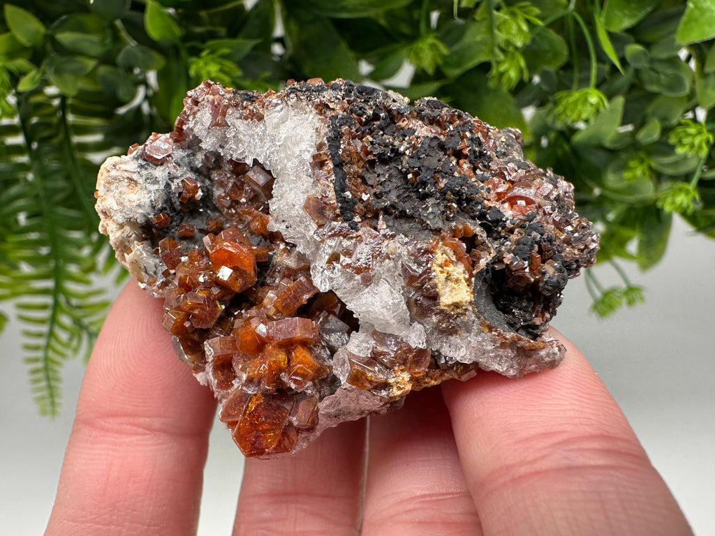 Red Vanadinite on Barite from Marocco,crystal minerals Speciment cluster Vanadinite crystal Vanadinite Geology Vanadinite cluster minerals